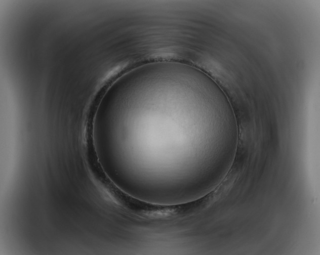 X0000088380112200705221102