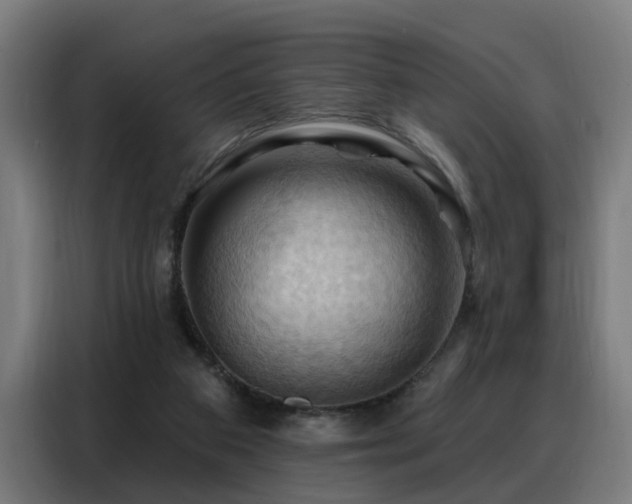 X0000088380113200705221102