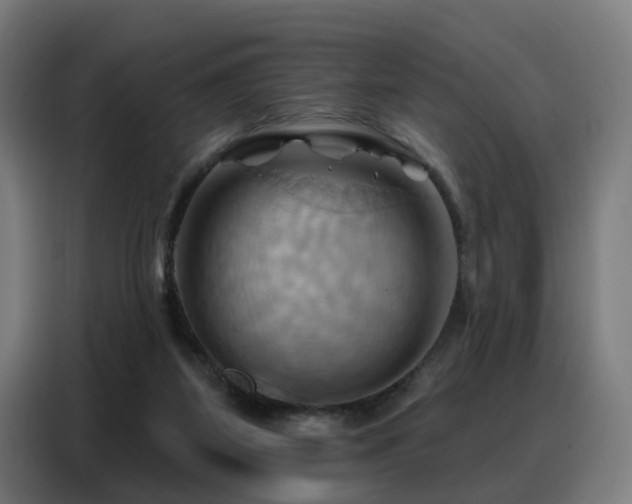 X0000088380115200705221101