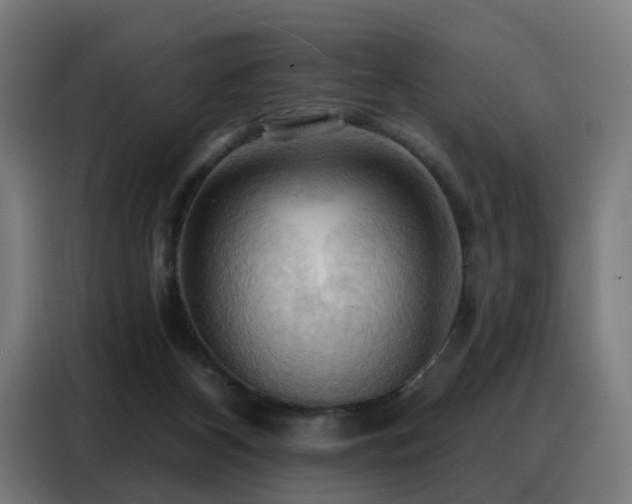 X0000088380116200705221101