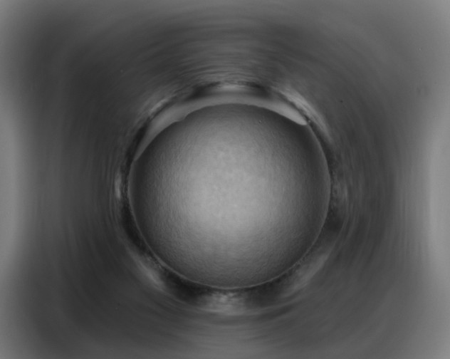 X0000088380117200705221101