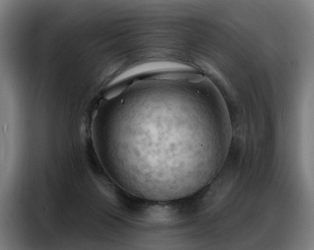 X0000088380119200705221101