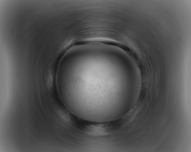 X0000088380120200705221101