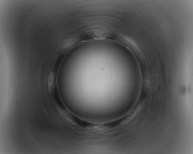 X0000088380121200705221101