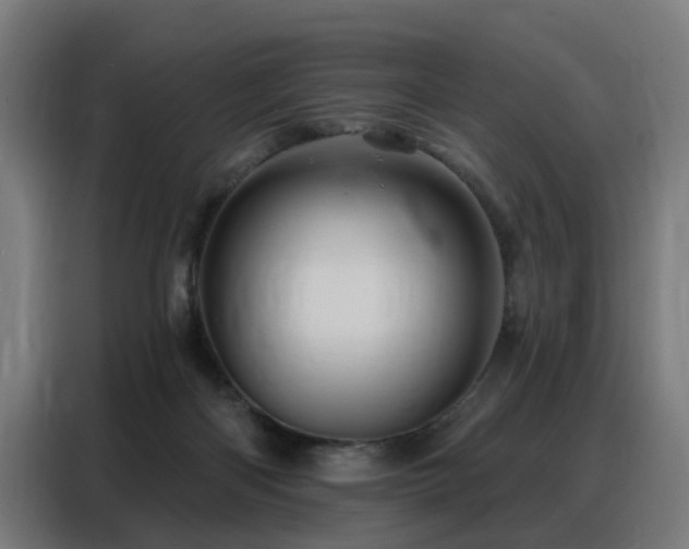 X0000088380122200705221101