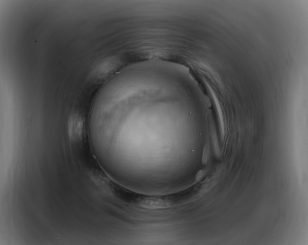 X0000088380123200705221101