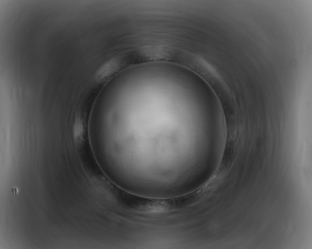 X0000088380124200705221101