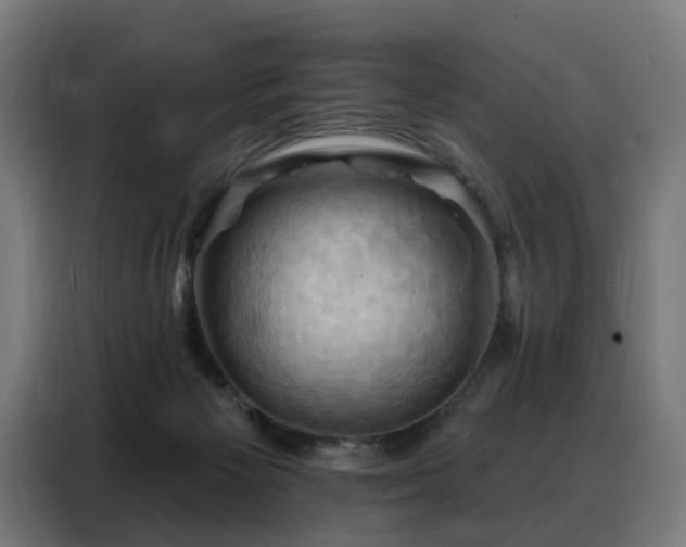 X0000088380125200705221101