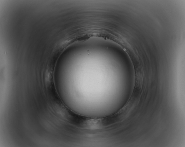 X0000088380126200705221101