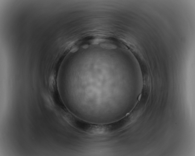 X0000088380127200705221101
