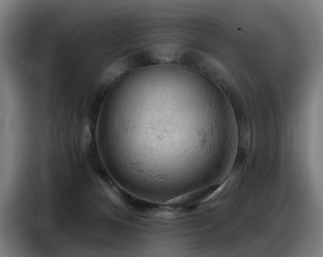 X0000088380128200705221101