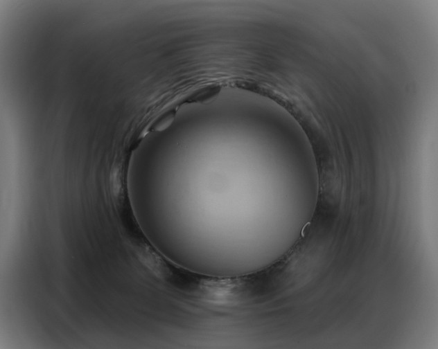 X0000088380131200705221101