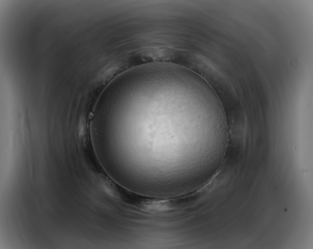 X0000088380132200705221101