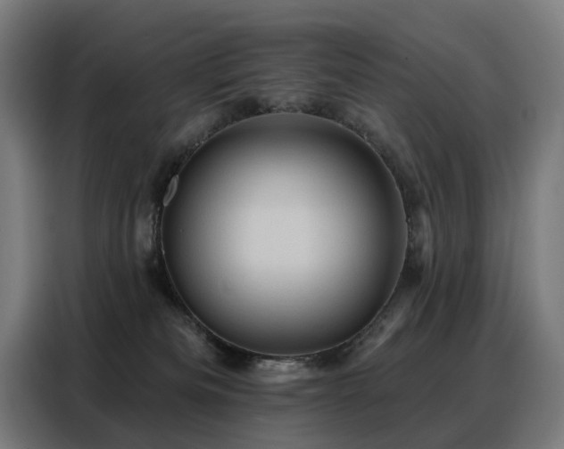 X0000088380133200705221101