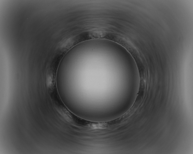 X0000088380134200705221101