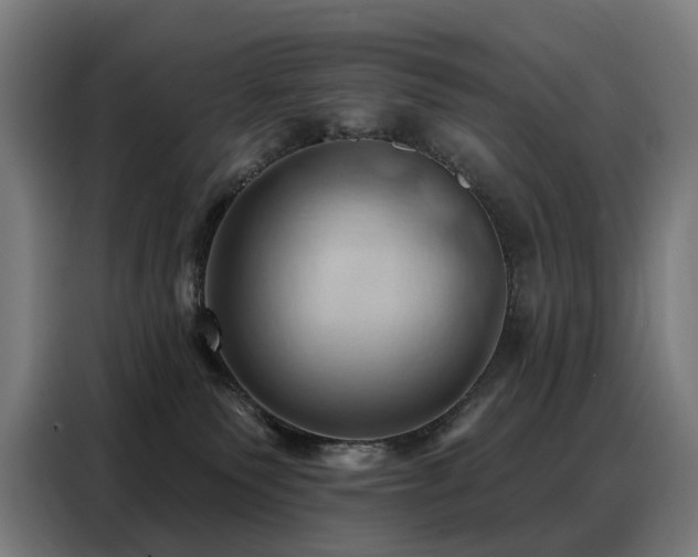 X0000088380135200705221101