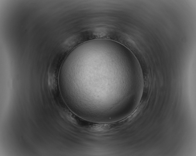 X0000088380136200705221101