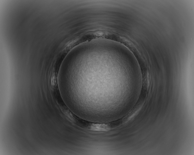 X0000088380137200705221101