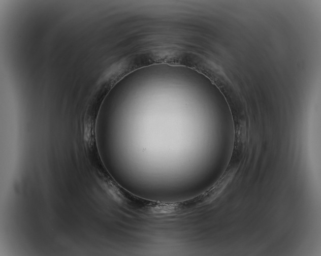 X0000088380138200705221101