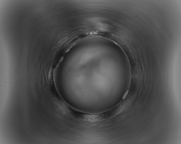 X0000088380139200705221101