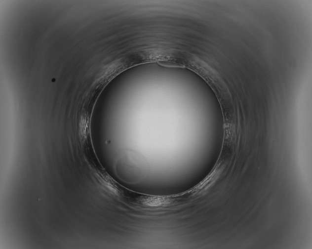 X0000088380142200705221101
