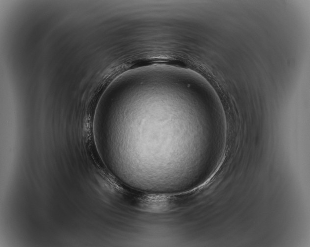 X0000088380144200705221101