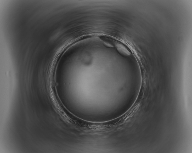 X0000088380145200705221100