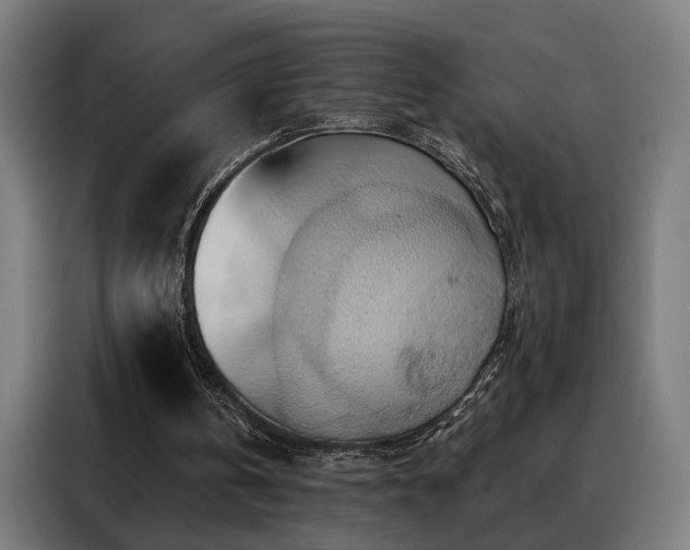X0000088380146200705221100