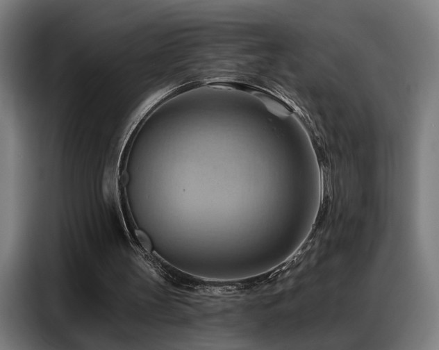 X0000088380147200705221101