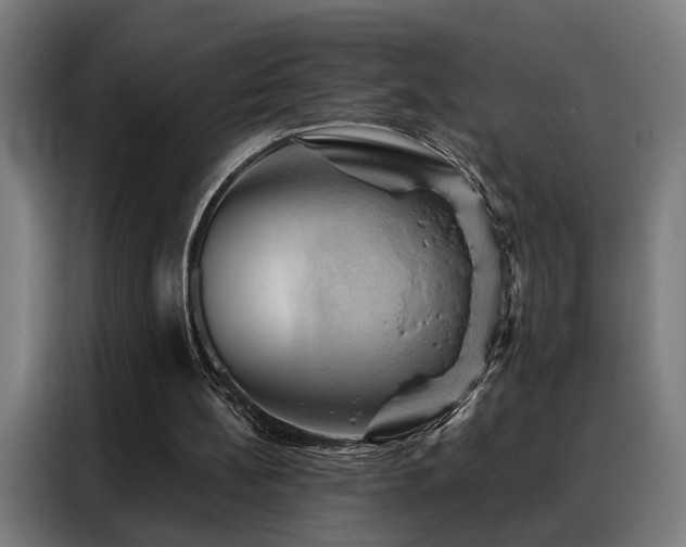 X0000088380148200705221101
