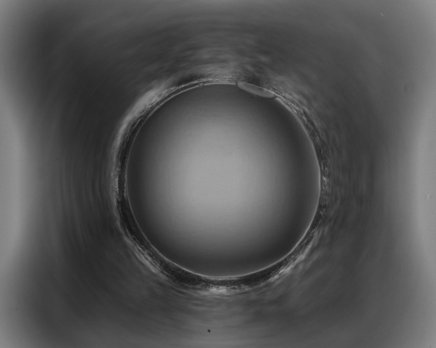 X0000088380149200705221101
