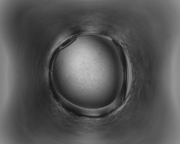 X0000088380150200705221101