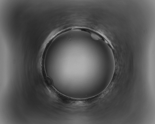 X0000088380151200705221101