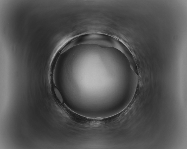 X0000088380152200705221101