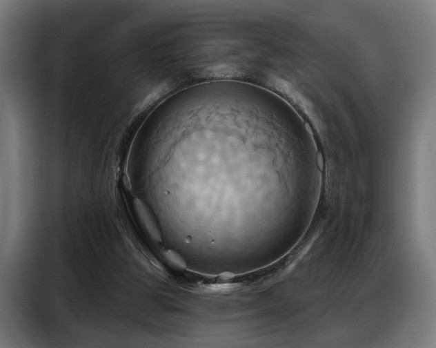 X0000088380153200705221101