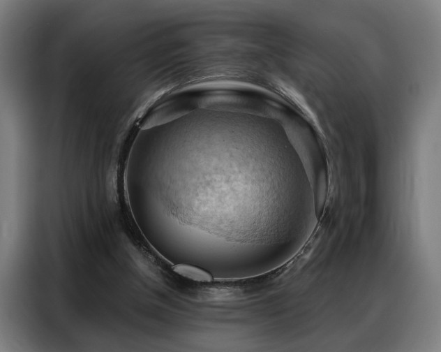 X0000088380154200705221101