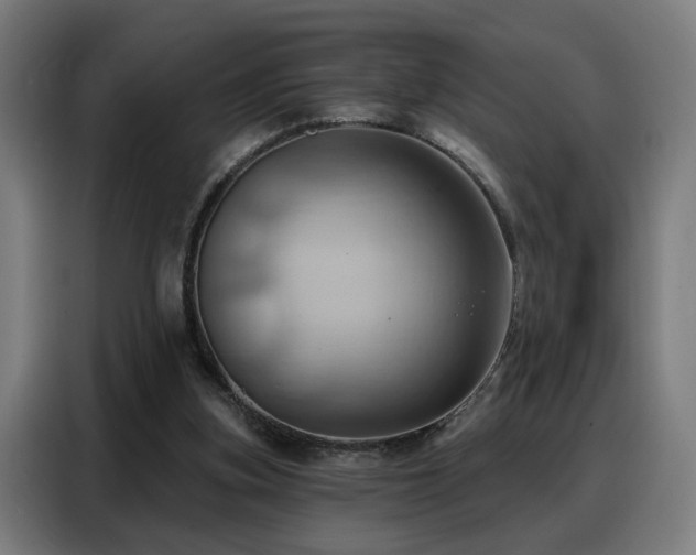 X0000088380155200705221101