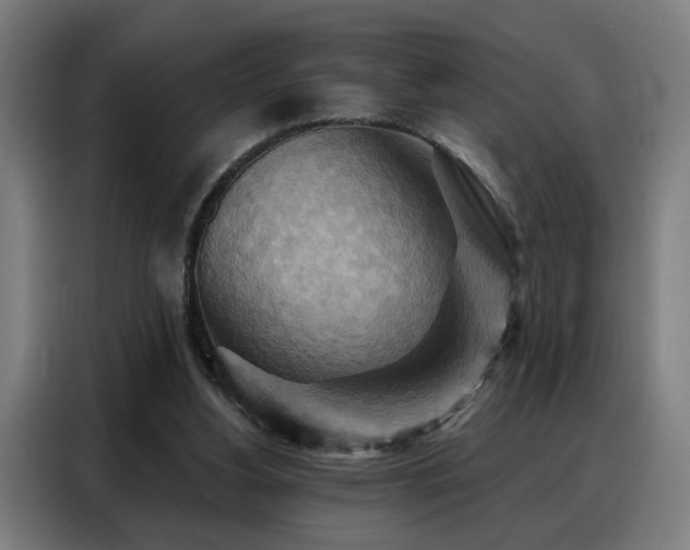 X0000088380156200705221101