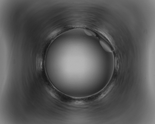 X0000088380157200705221101