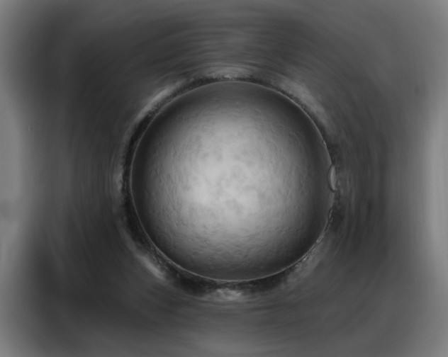 X0000088380159200705221101