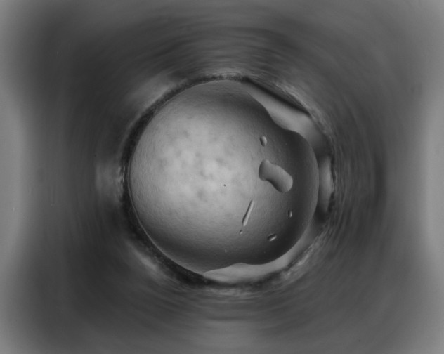 X0000088380160200705221101