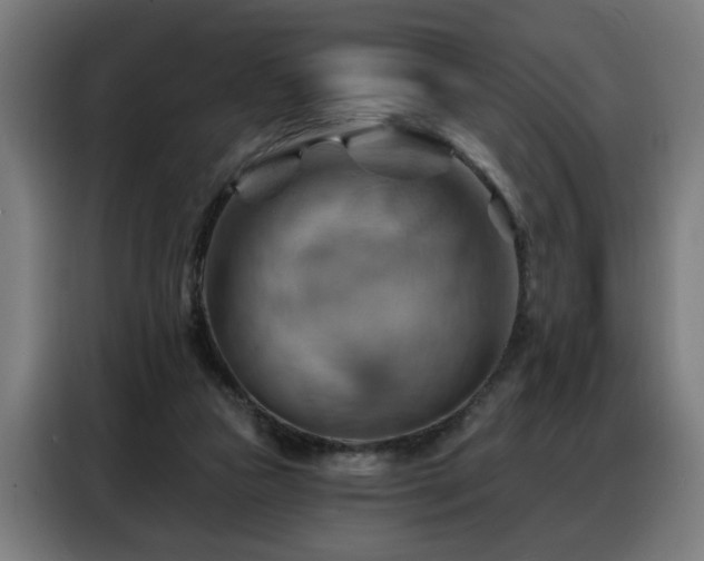 X0000088380161200705221101