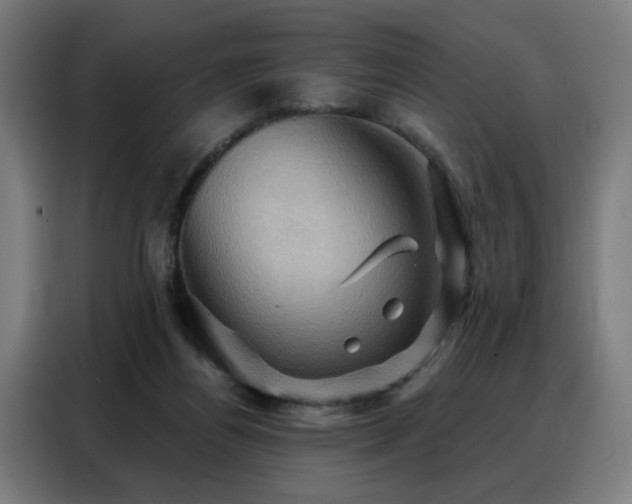 X0000088380164200705221101
