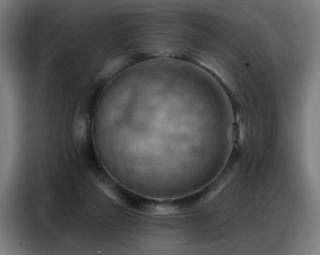 X0000088380165200705221101