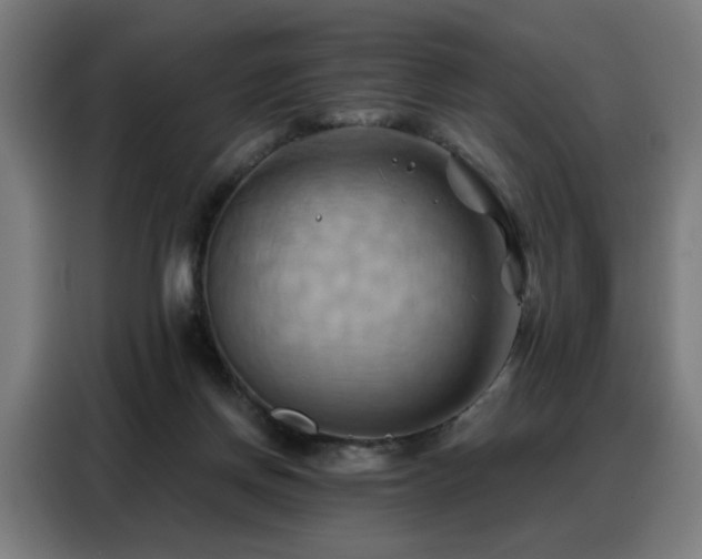 X0000088380166200705221101
