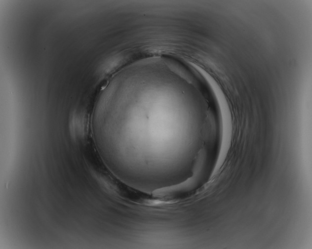 X0000088380168200705221101