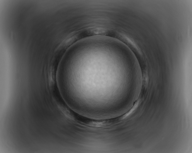X0000088380170200705221101