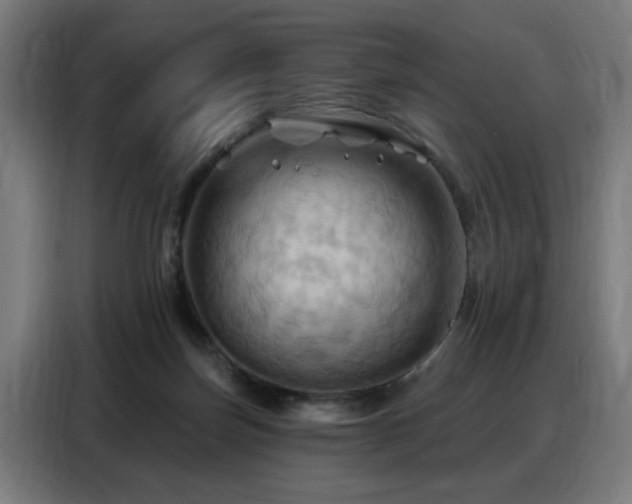 X0000088380171200705221101