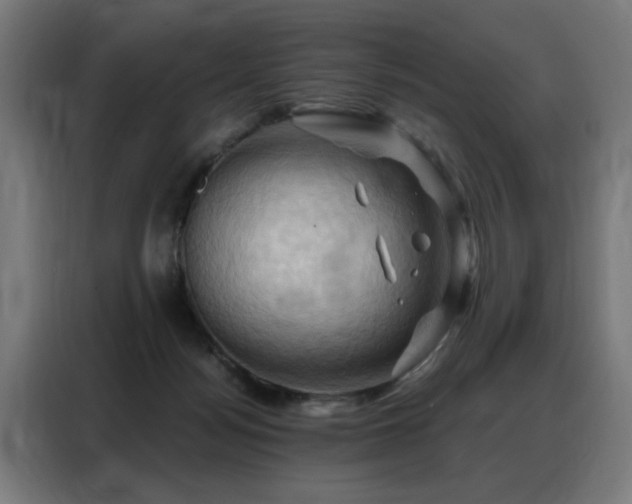 X0000088380172200705221101