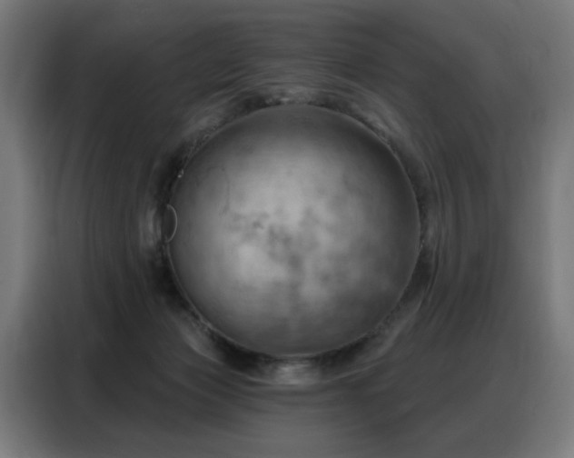 X0000088380173200705221101